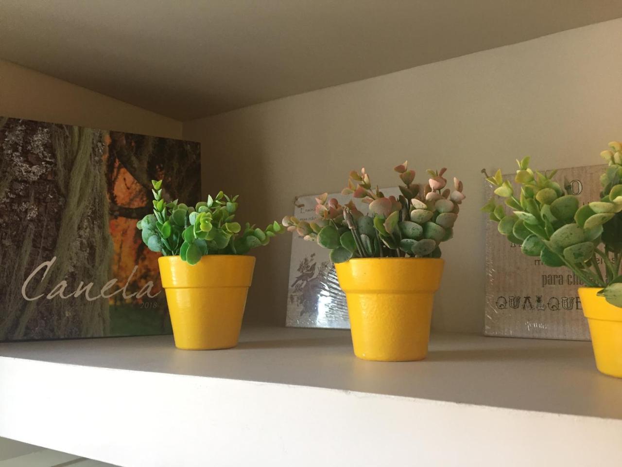Apartamento Em Canela Eksteriør billede